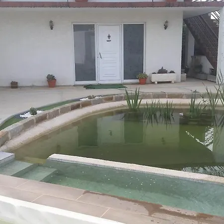 Estudio Entre Porto E Aveiro Carregosa