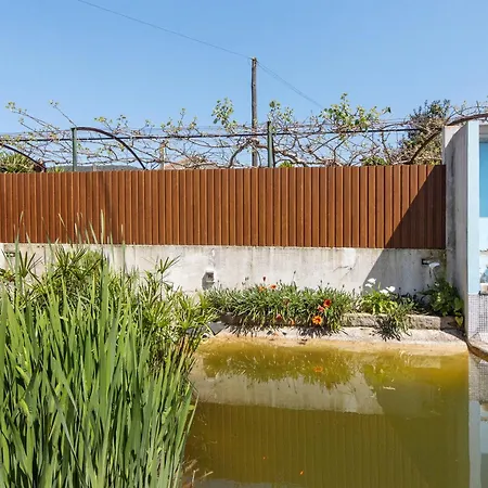 Estudio Entre Porto E Aveiro * Carregosa