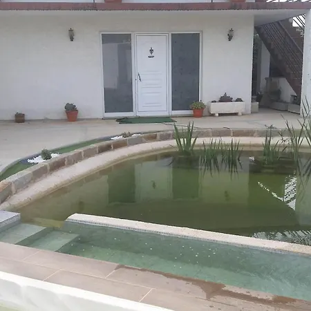 Estúdio Entre Porto E Aveiro Сasa de vacaciones Carregosa