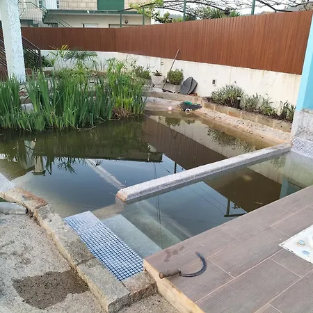 Σπίτι διακοπών Estudio Entre Porto E Aveiro Carregosa