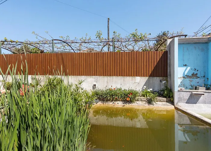 Estudio Entre Porto E Aveiro * Carregosa